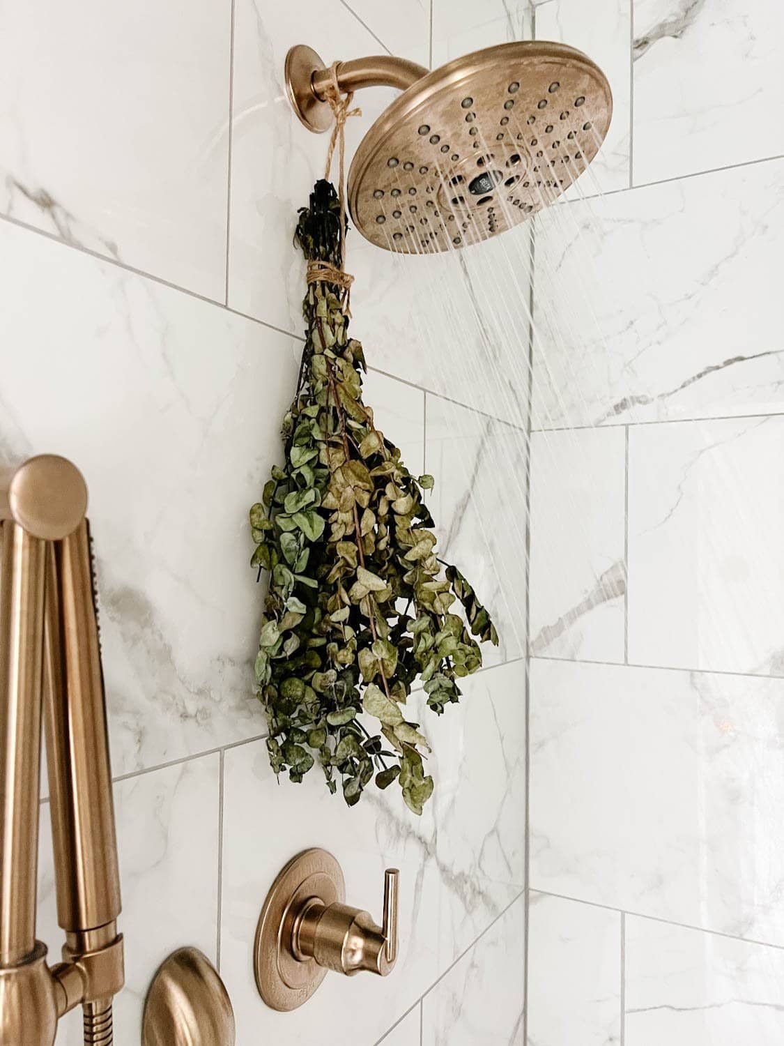 eucalyptus hanging from shower head for aromatherapy