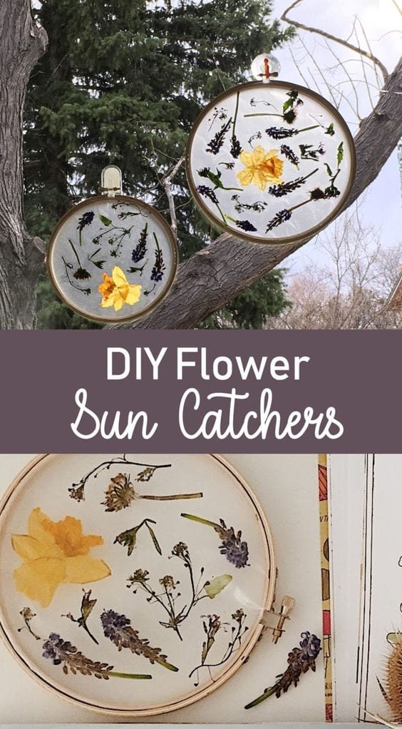 sun catcher