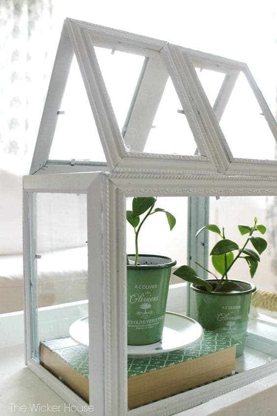 terrarium