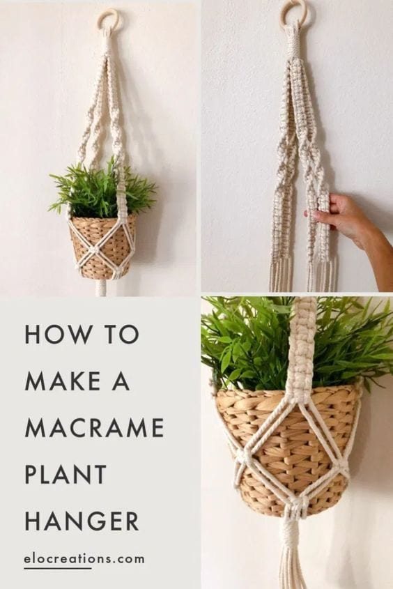 plant holder