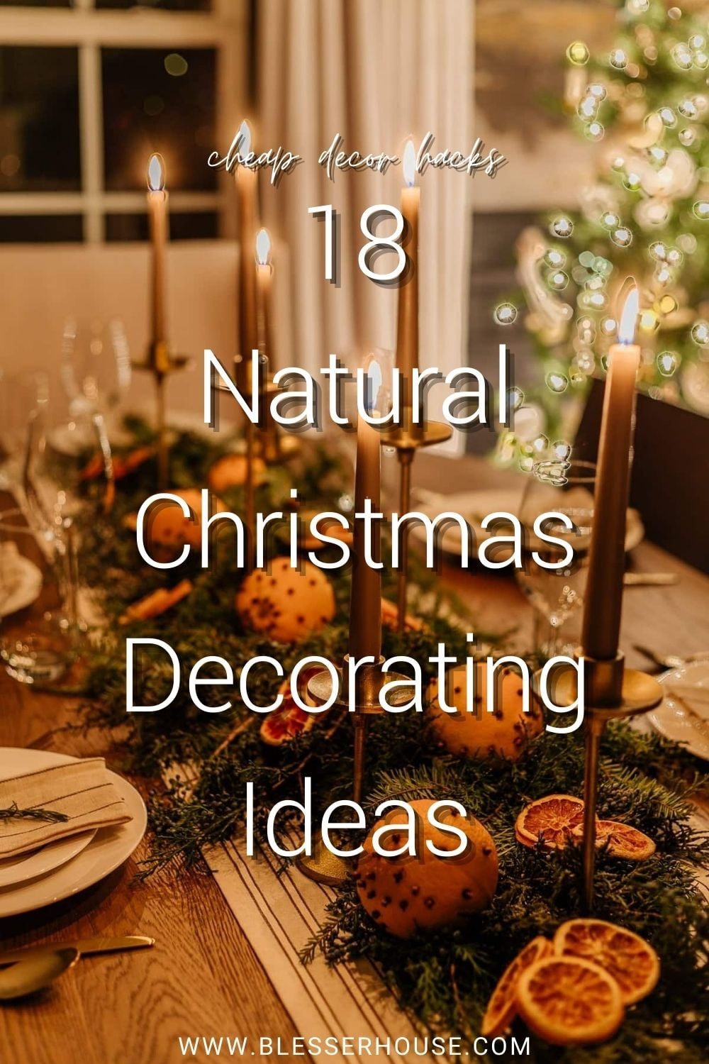 cheap natural Christmas decor ideas