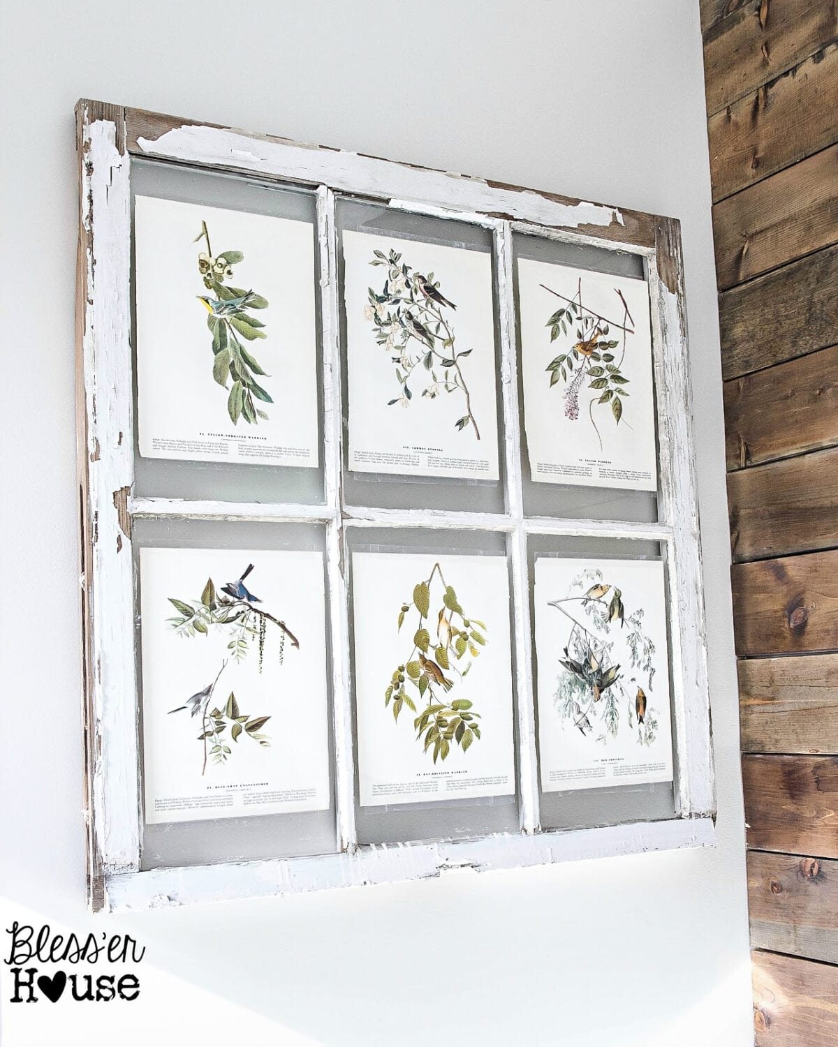Window Picture Frame and Free Botanical Printables