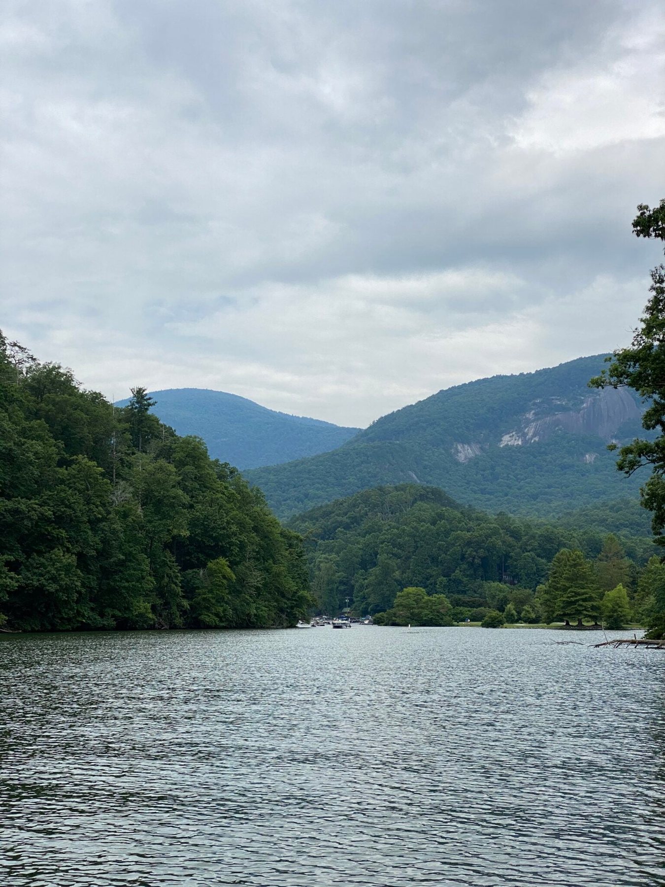 scenic boat tour on Lake Lure