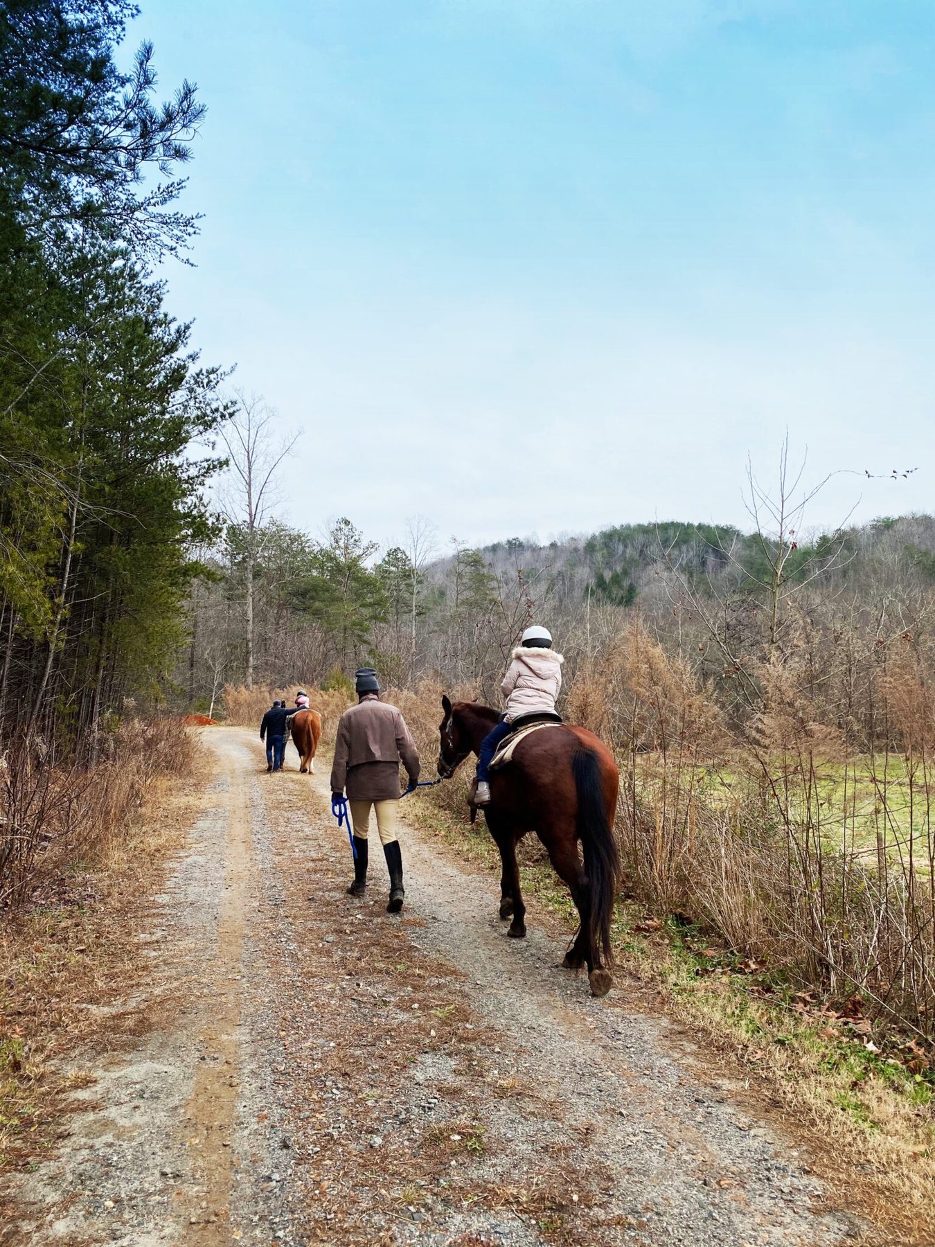 Cedar Creek Stables horseback riding in Lake Lure