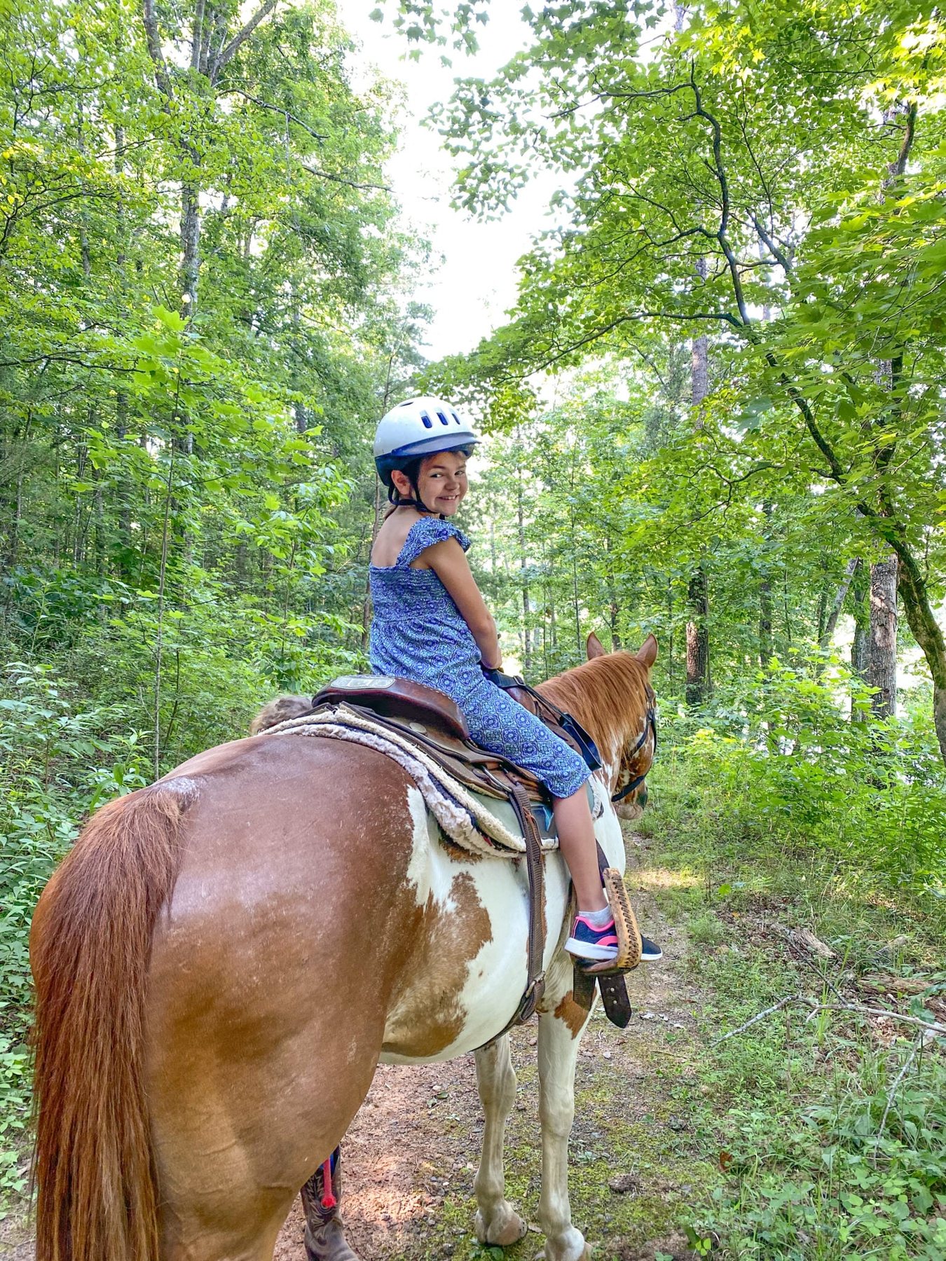 Cedar Creek Stables horseback riding in Lake Lure