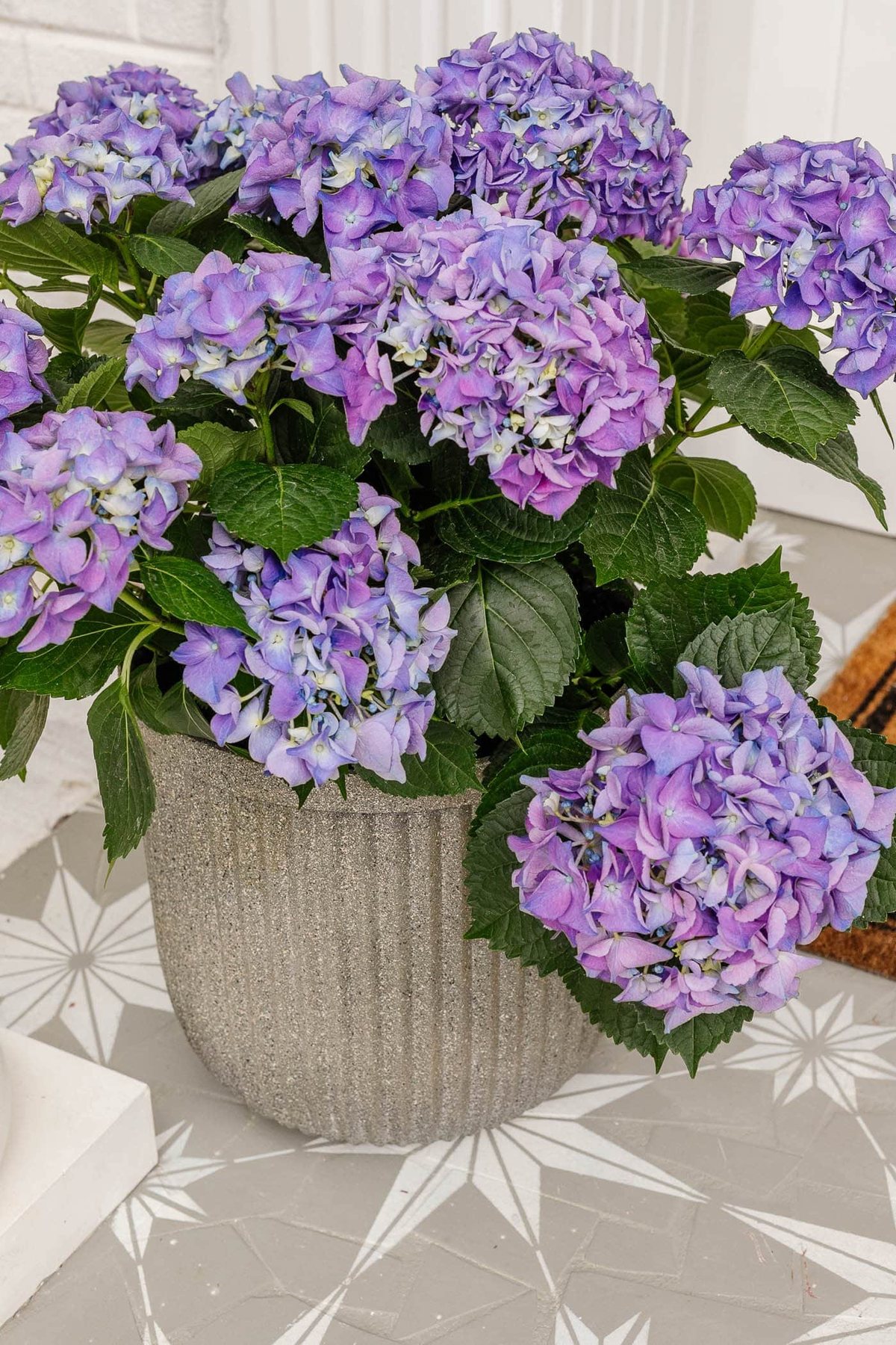 Faux DIY Concrete Planters With Spray Paint