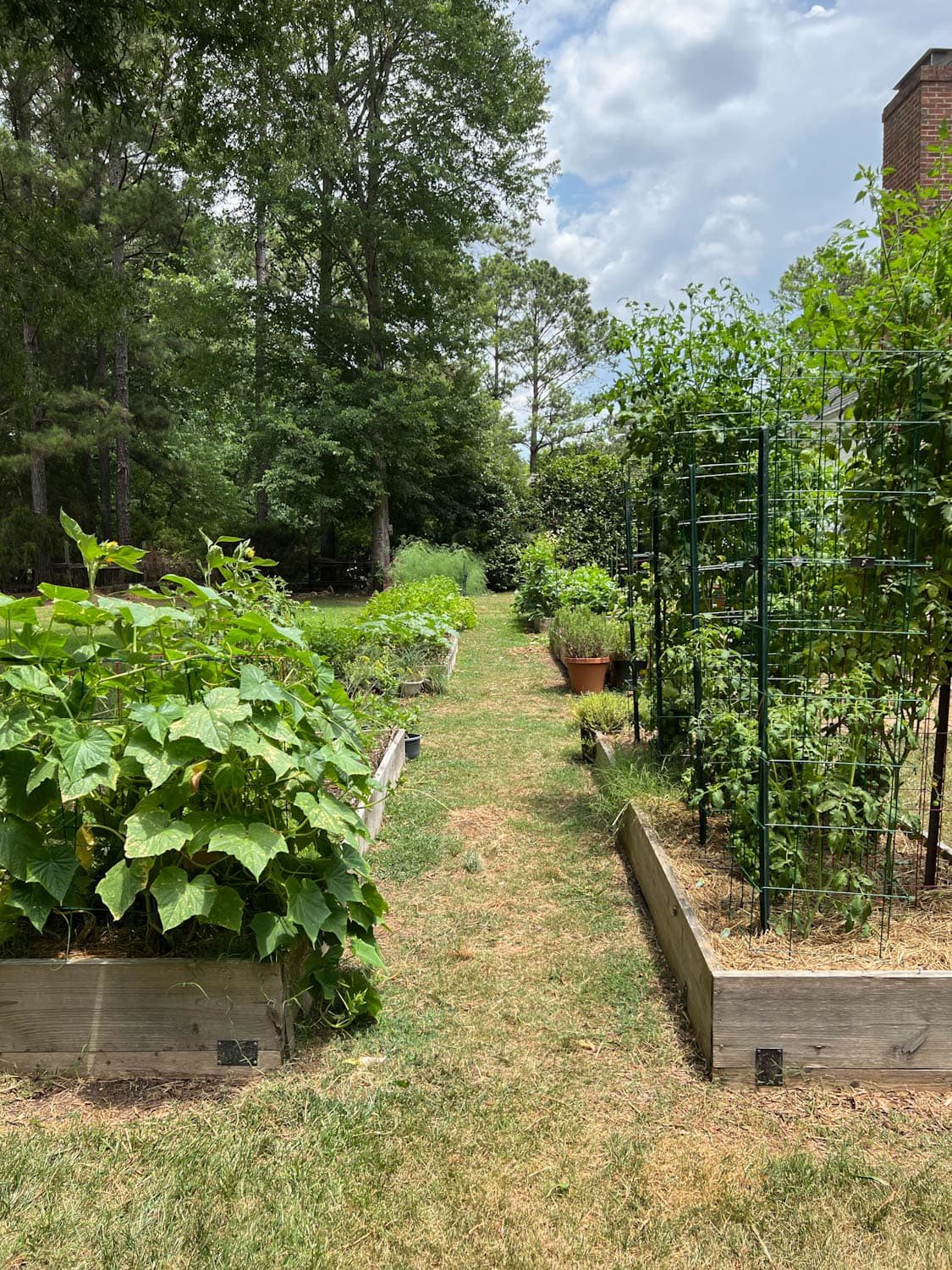 How to Plant a Raised Bed Vegetable Garden with High Yield