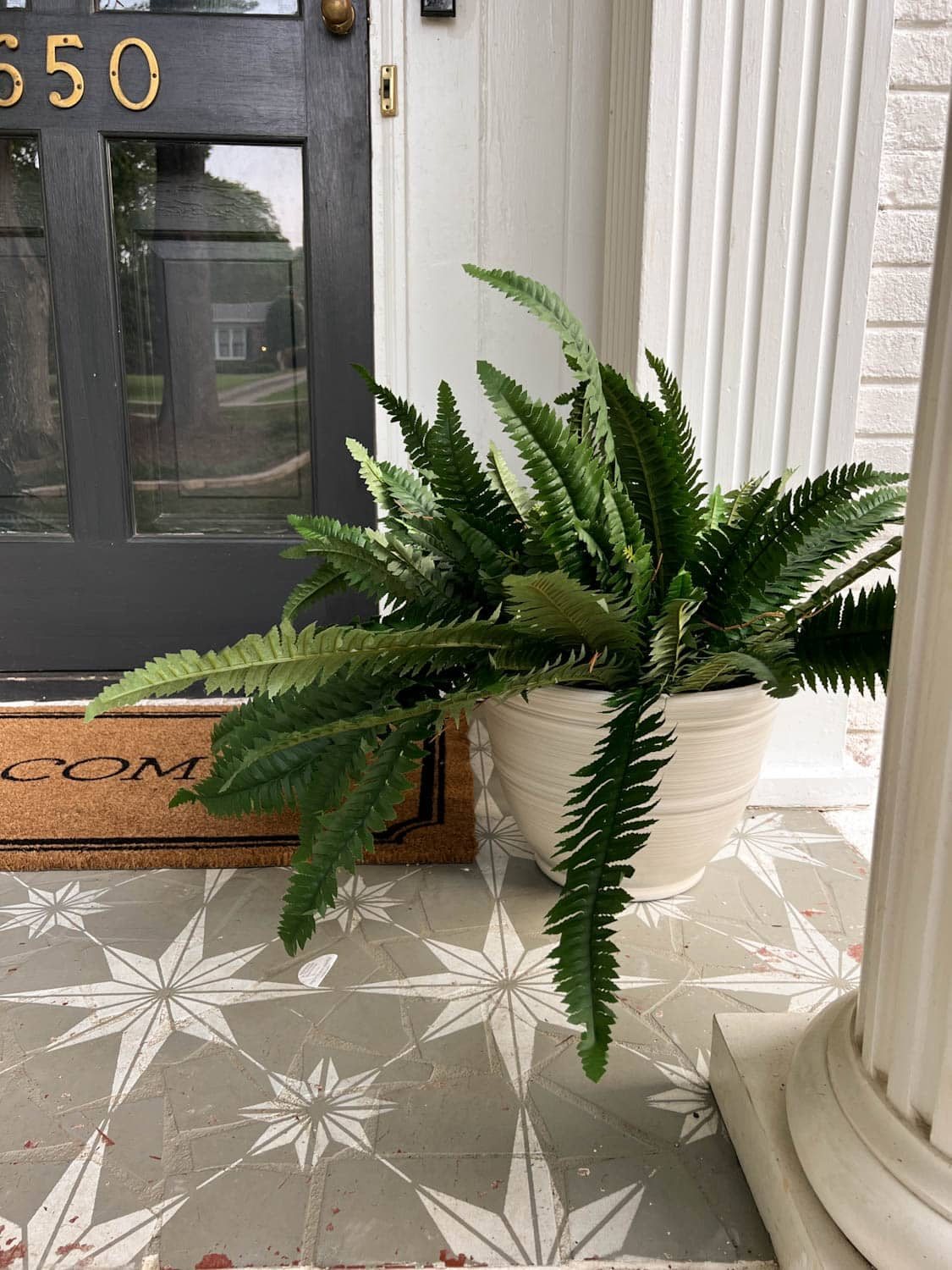 artificial fern on a porch beside a front door