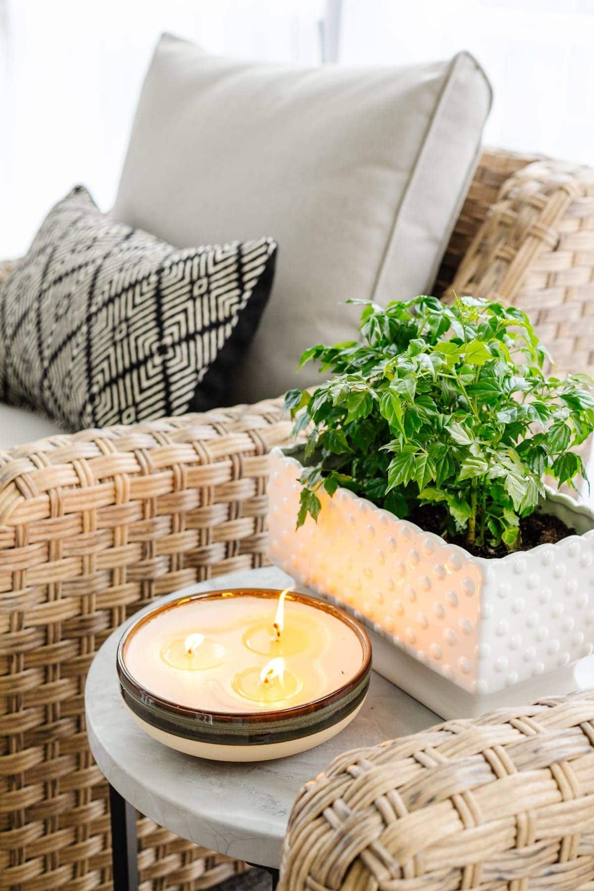 citronella candle and potted plant