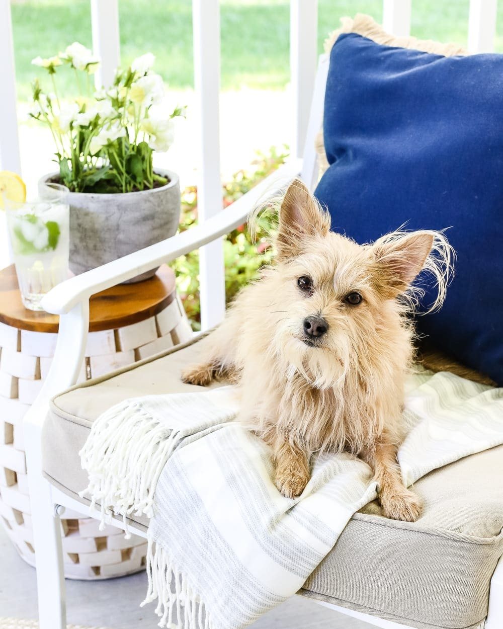 The Secret to Arranging a Versatile Outdoor Space | unigumushane.com - 1 trick for arranging a versatile outdoor space to get the most function out of a small porch, plus decorating ideas to make it inviting with TJ Maxx. #sponsored