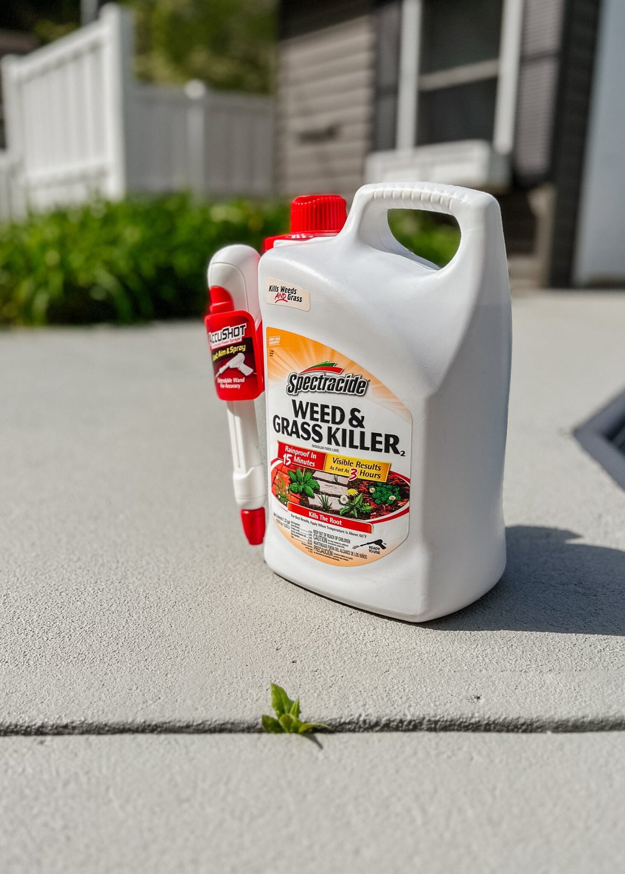 spraying for weed removal using spectracide between walkway cracks