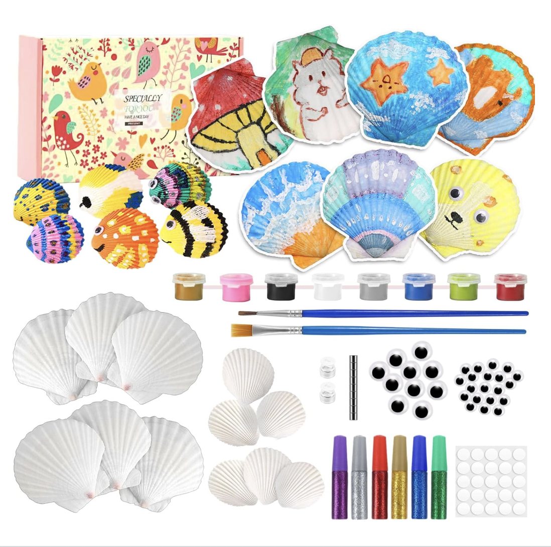 sea shell painting kit