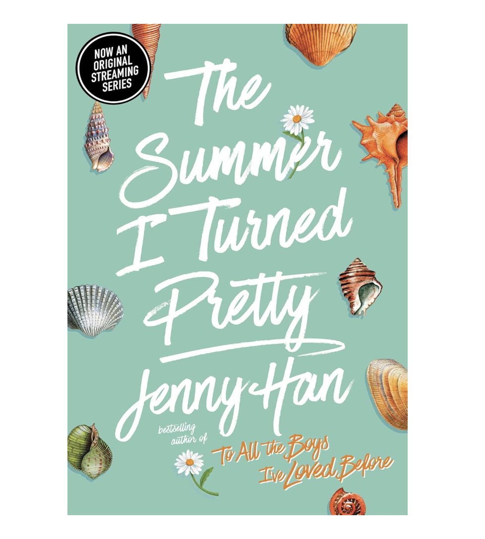 The Summer I Turned Pretty novel