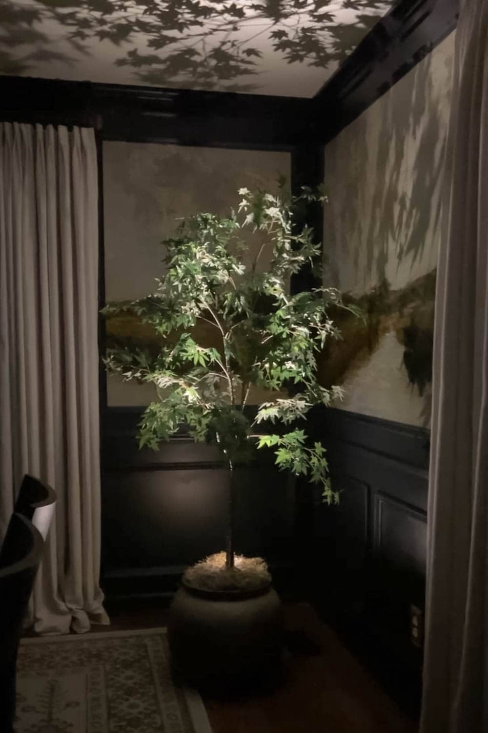 spotlight at an artificial indoor tree at night