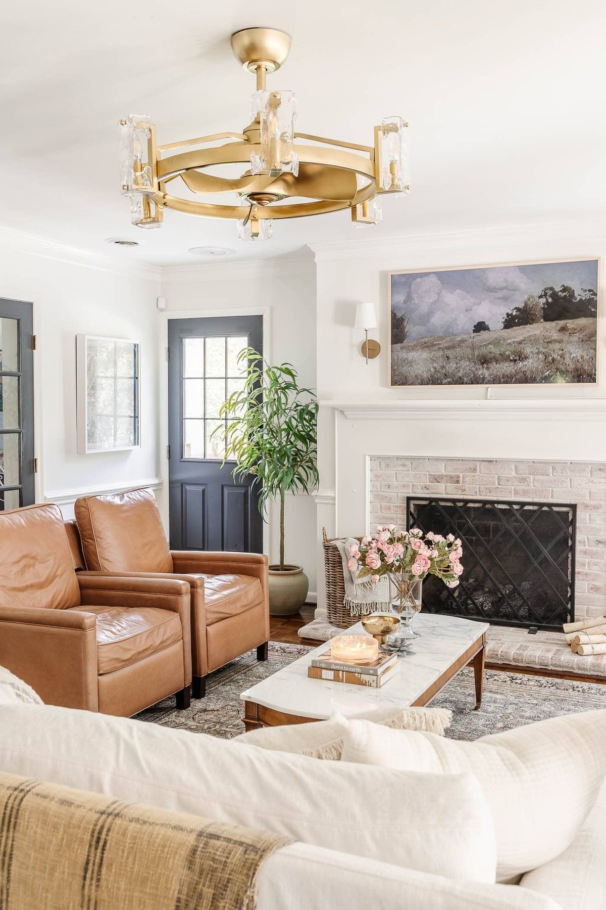 eucalyptus - best indoor tree for a living room