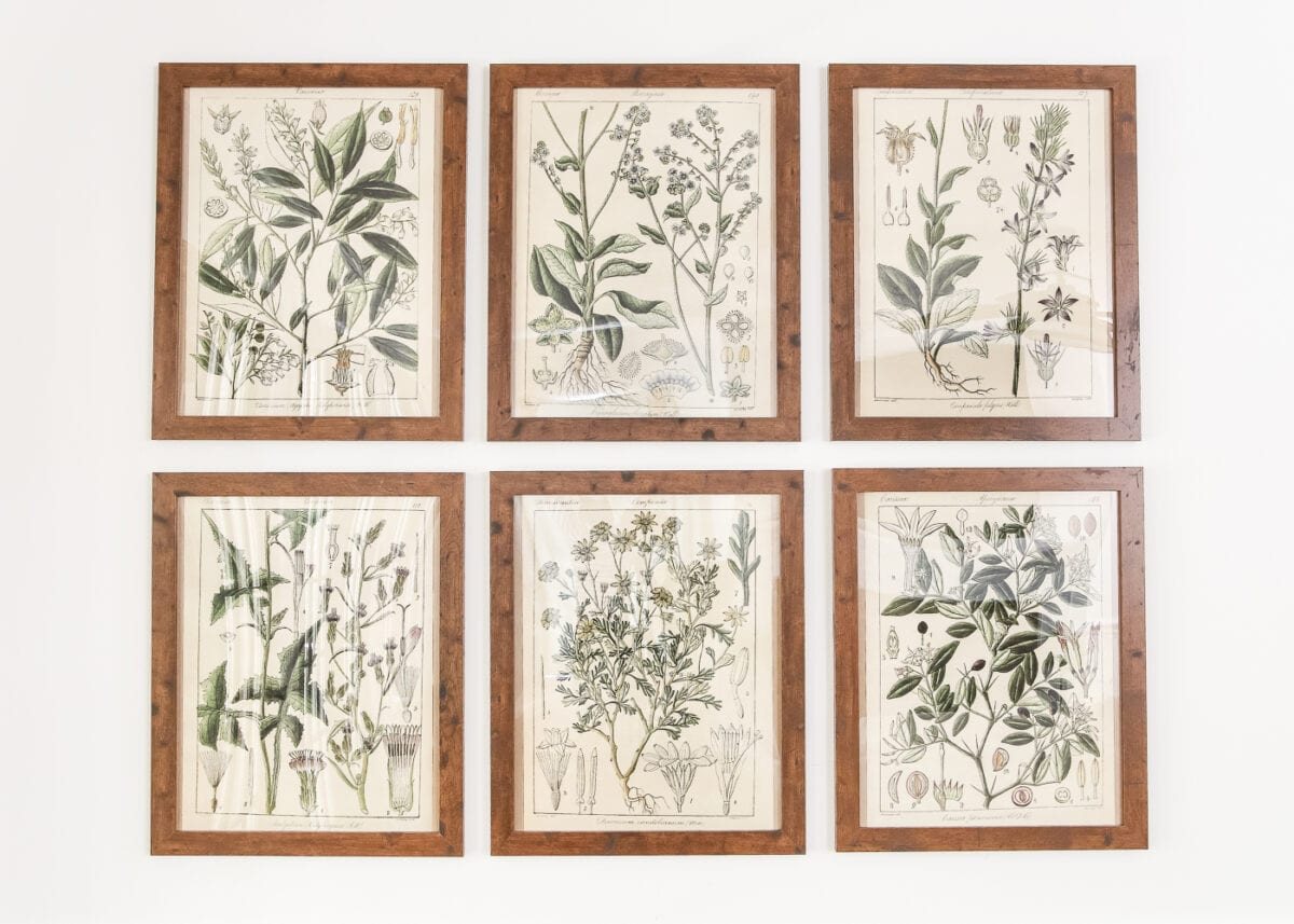 Botany Printable Art and a Wall Decor Hanging Trick | unigumushane.com - A free download of botany printable art perfect for spring and summer, plus a wall decor hanging hack to make hanging frames quick and easy.