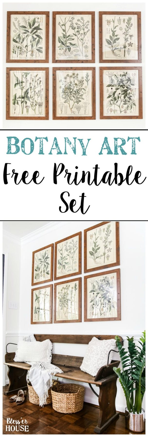 Botany Printable Art and a Wall Decor Hanging Trick | unigumushane.com - A free download of botany printable art perfect for spring and summer, plus a wall decor hanging hack to make hanging frames quick and easy.