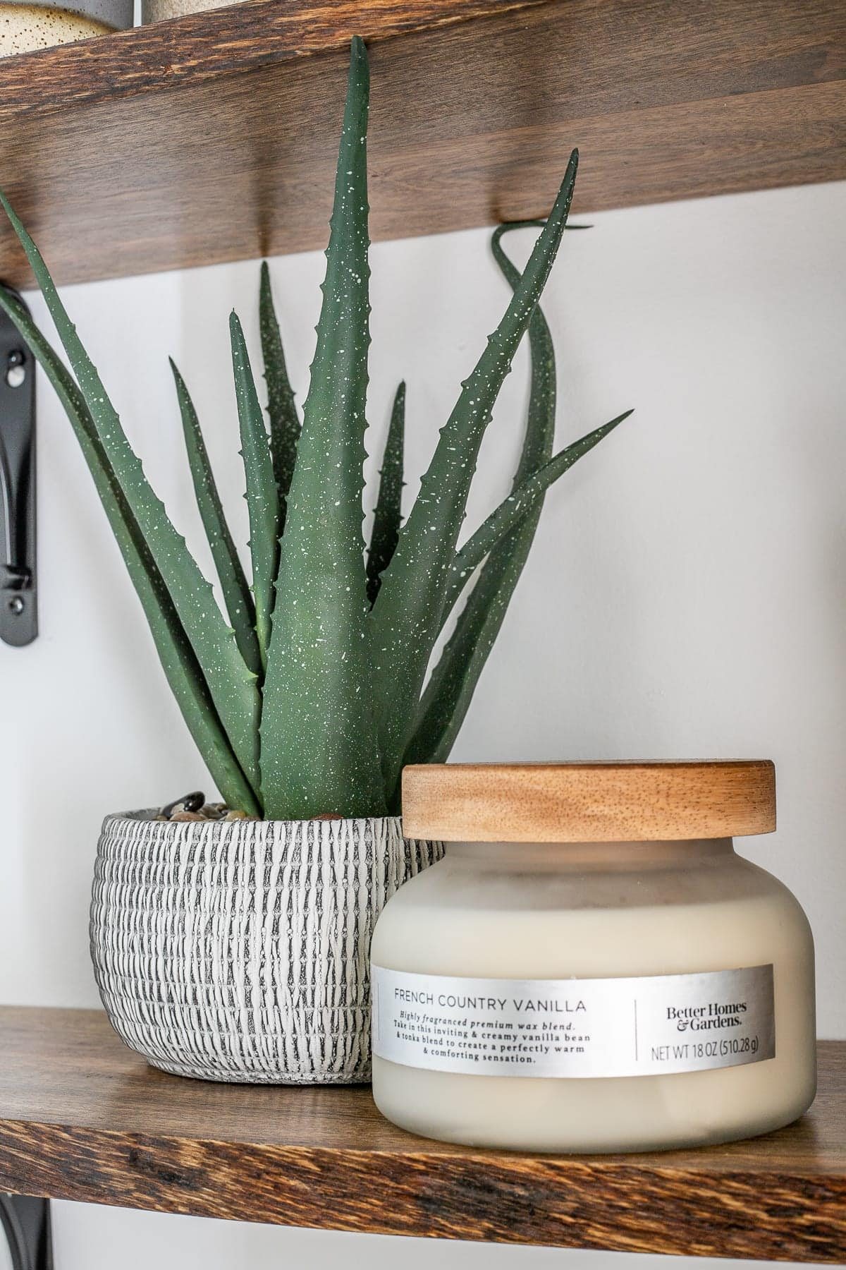 artificial aloe plant and candle