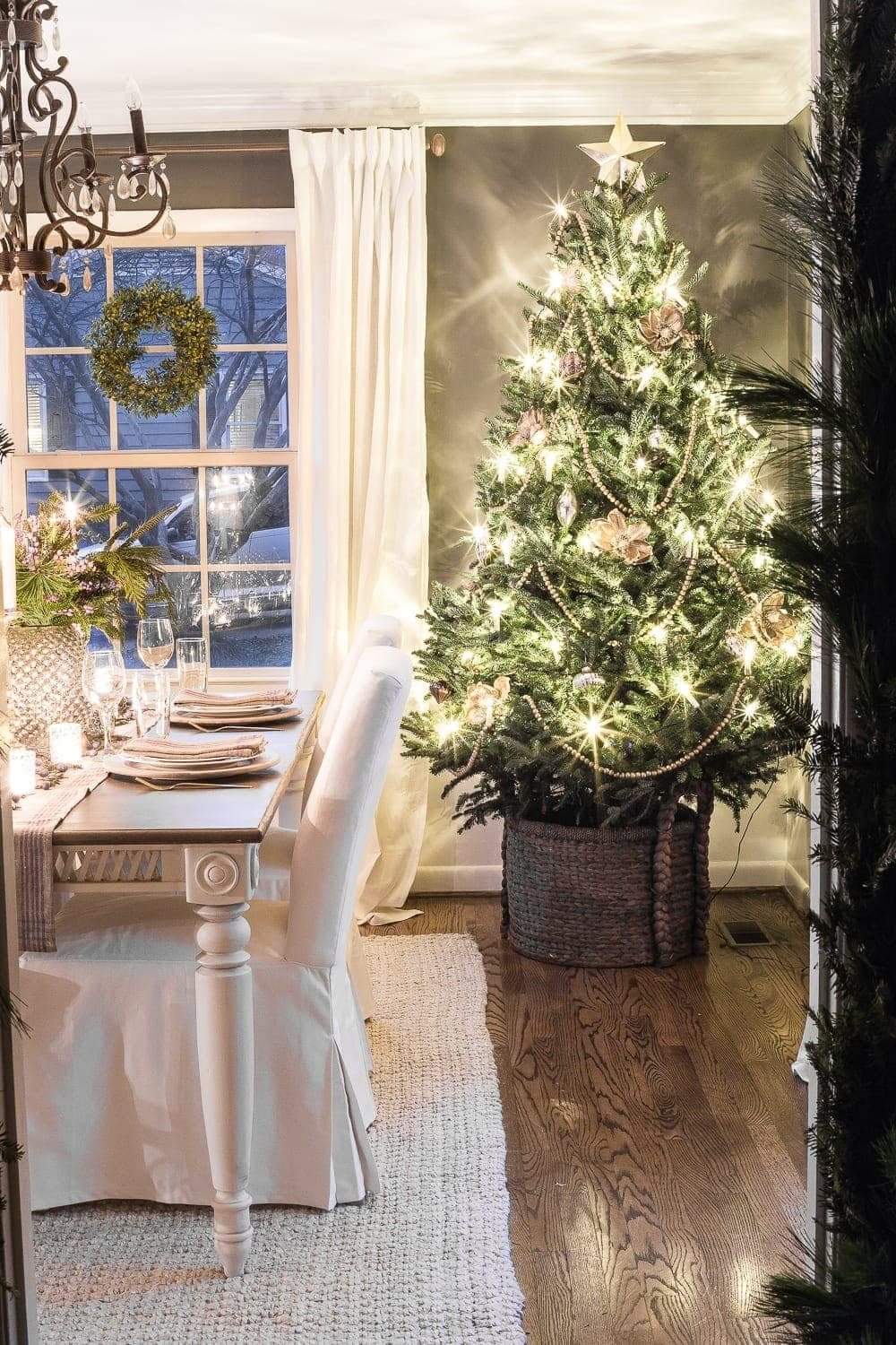 real christmas tree at night