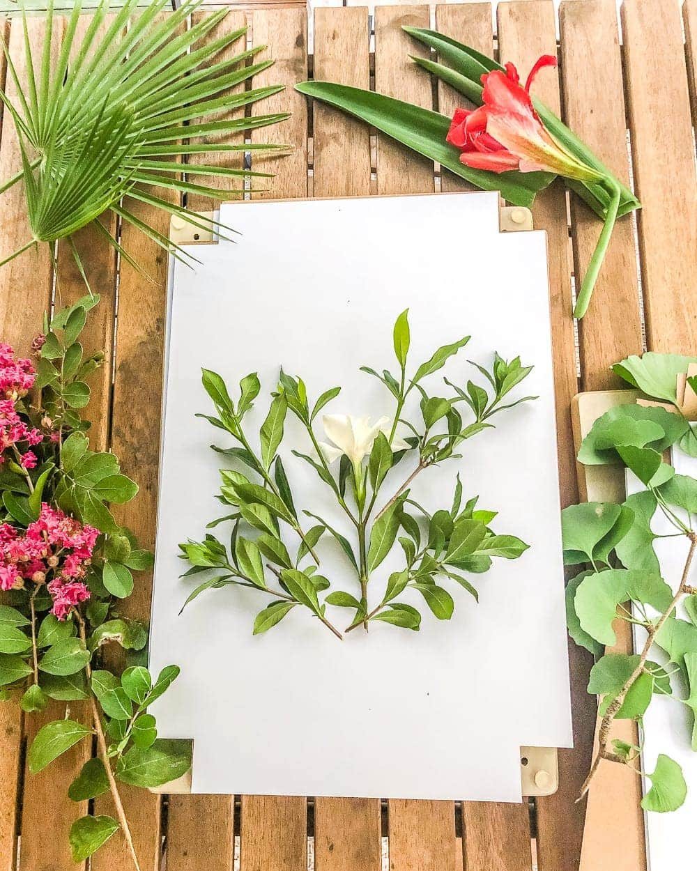 making pressed flower art