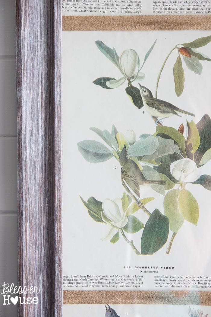 DIY Book Page Botanical Art | Unigumushane - So pretty and cheap!