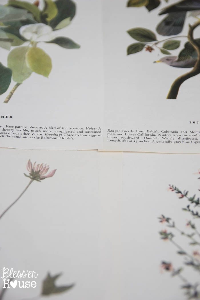 DIY Book Page Botanical Art | Unigumushane - So pretty and cheap!