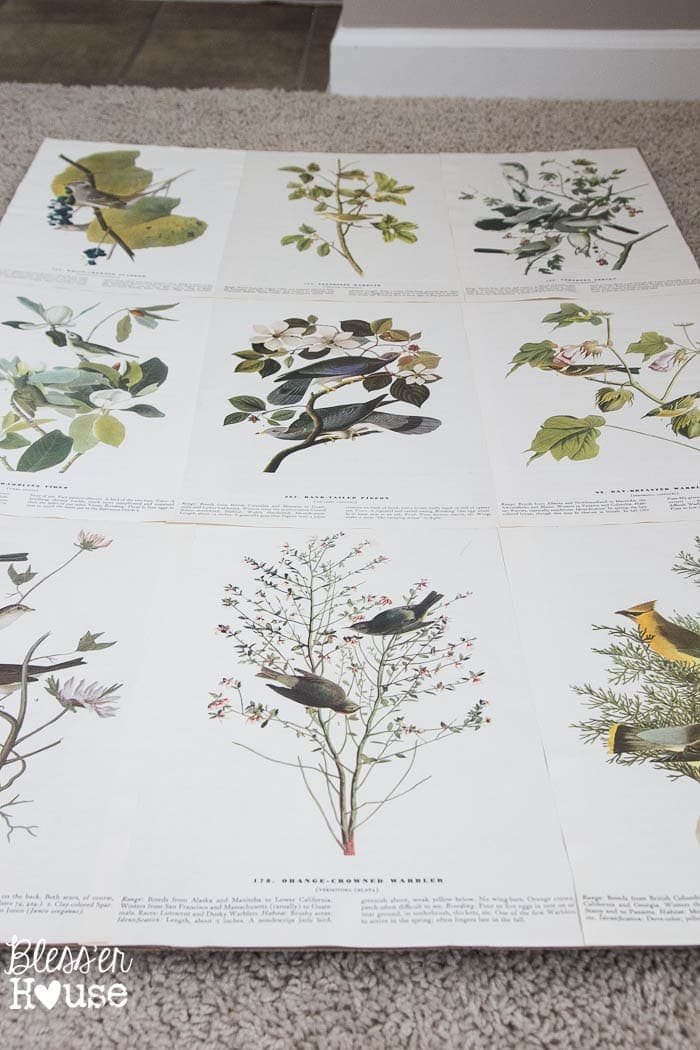DIY Book Page Botanical Art | Unigumushane - So pretty and cheap!