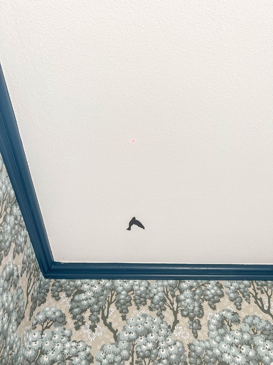 bird vinyl decal stuck to textured ceiling in a block print using a laser