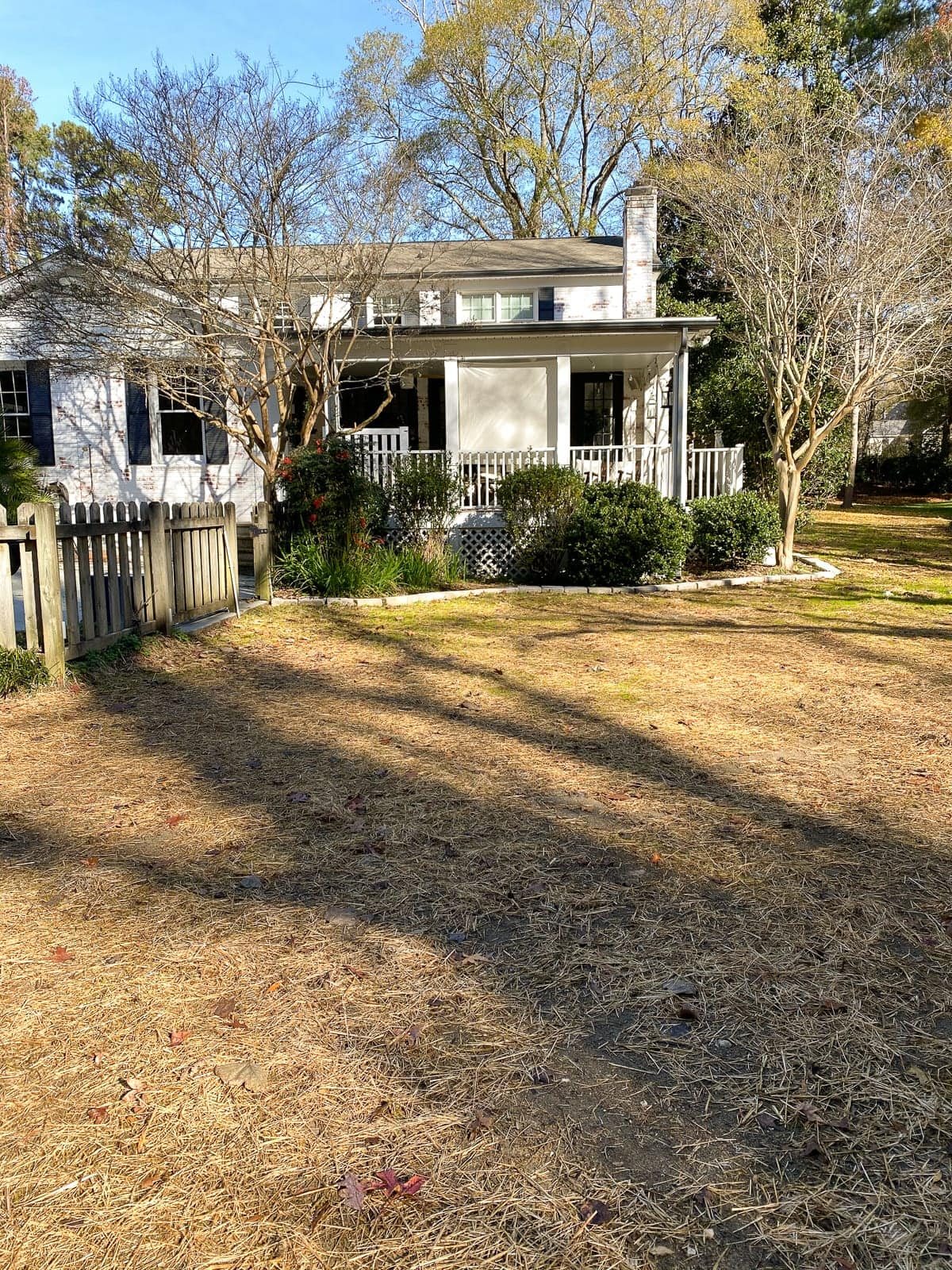 backyard after grading and seeding