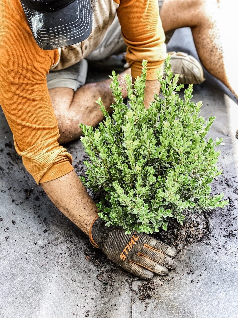 DIY Flower Bed Makeover | A step-by-step DIY tutorial to take your flower beds from drab to fab to increase curb appeal, plus all the best tools to get the job done.
