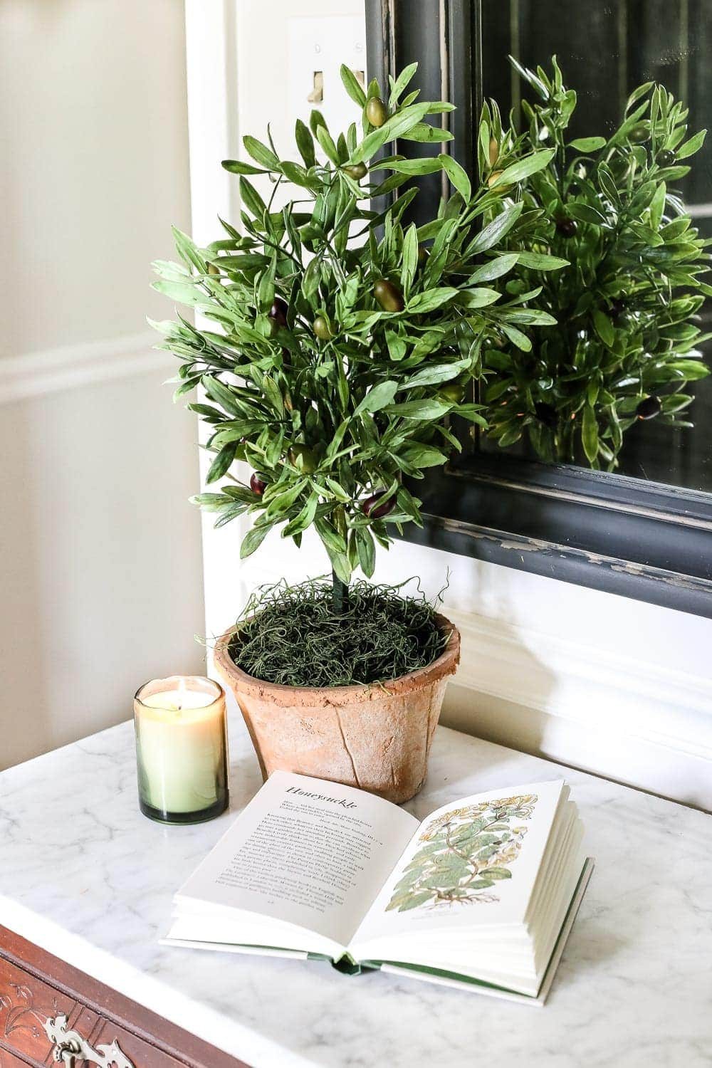 DIY Olive Topiary Trees | unigumushane.com - A 10 minute craft tutorial for how to make an olive topiary tree (or any kind of topiary) inexpensively + 11 DIY summer decor ideas.
