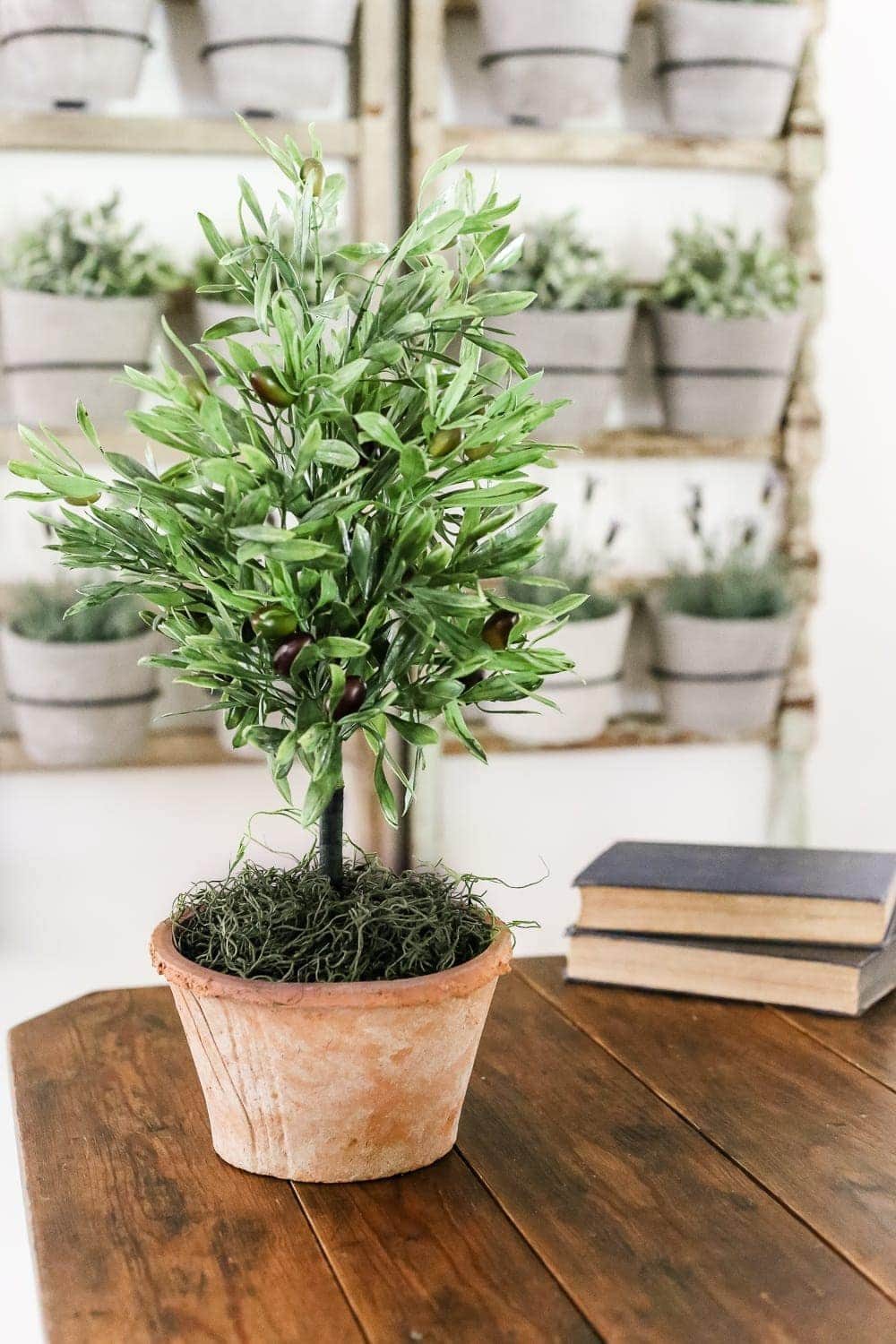 DIY Olive Topiary Tree