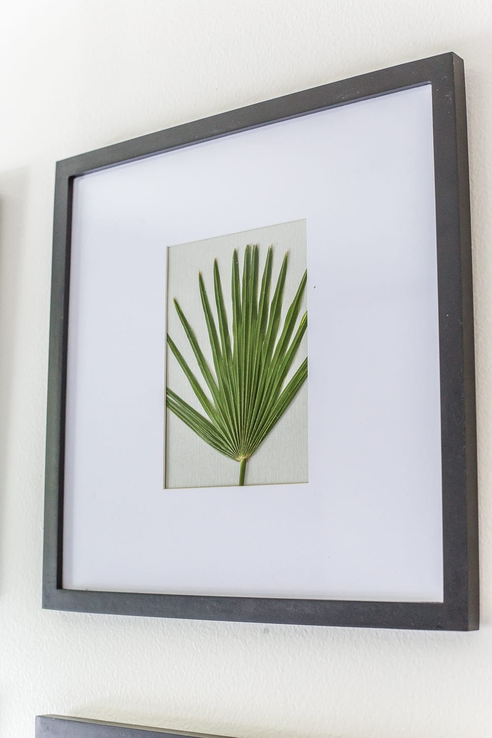 DIY Pressed Flower Art | How to press flowers and leaves from your own backyard to frame as inexpensive, vintage-inspired wall decor.