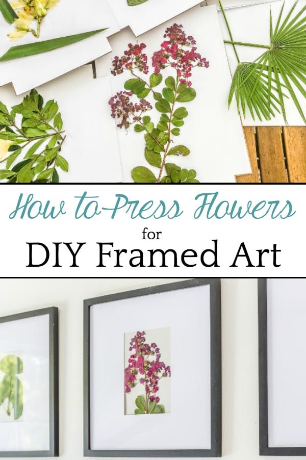 DIY Pressed Flower Art | How to press flowers and leaves from your own backyard to frame as inexpensive, vintage-inspired wall decor.