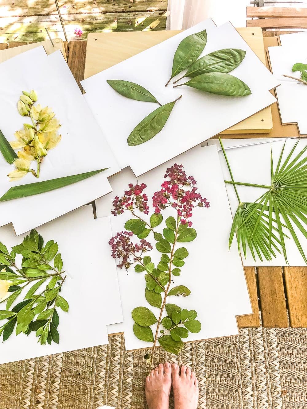 DIY Pressed Flower Art | How to press flowers and leaves from your own backyard to frame as inexpensive, vintage-inspired wall decor.