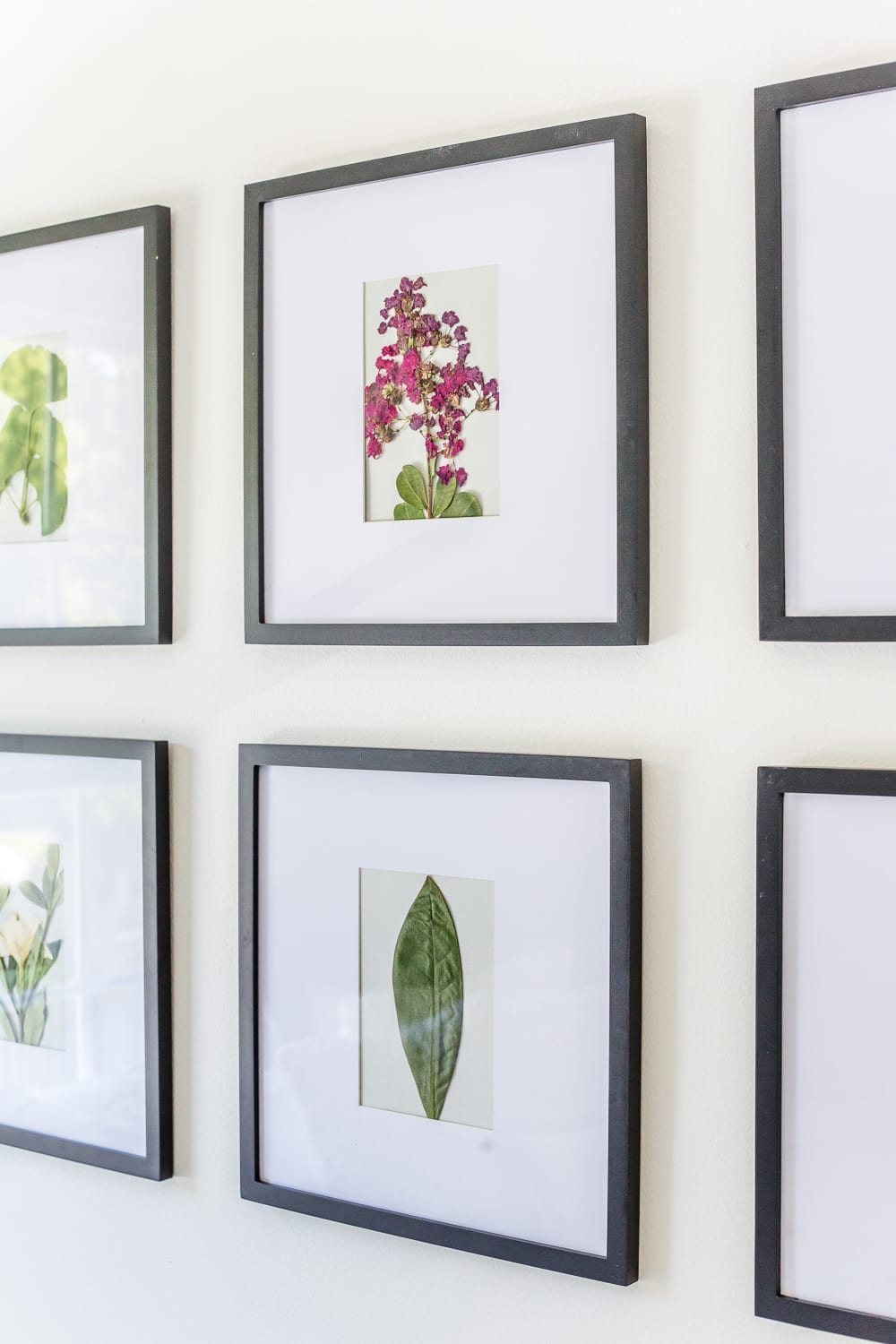 DIY Pressed Flower Art | How to press flowers and leaves from your own backyard to frame as inexpensive, vintage-inspired wall decor.