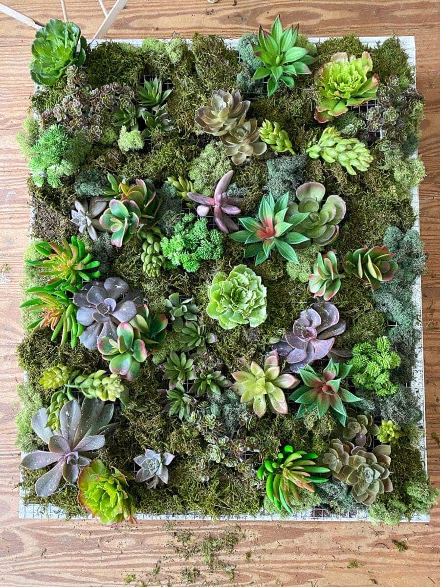 DIY Vertical Wall Planter | How to make a wall planter for either indoors or outdoors using scrap wood, moss, and succulents for the perfect spring or summer gardening project.
