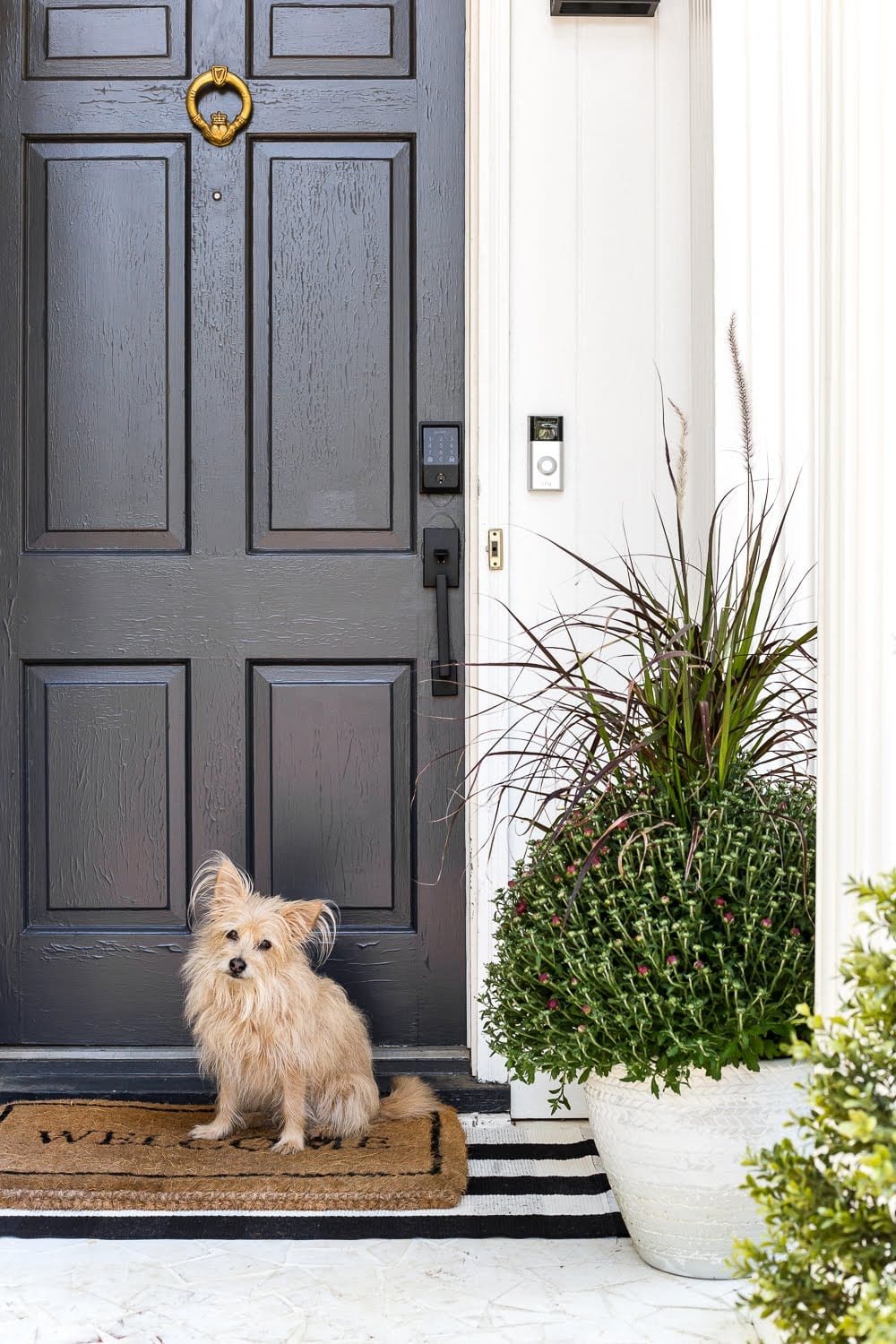 fall planters on a front porch with mums and ornamental grass