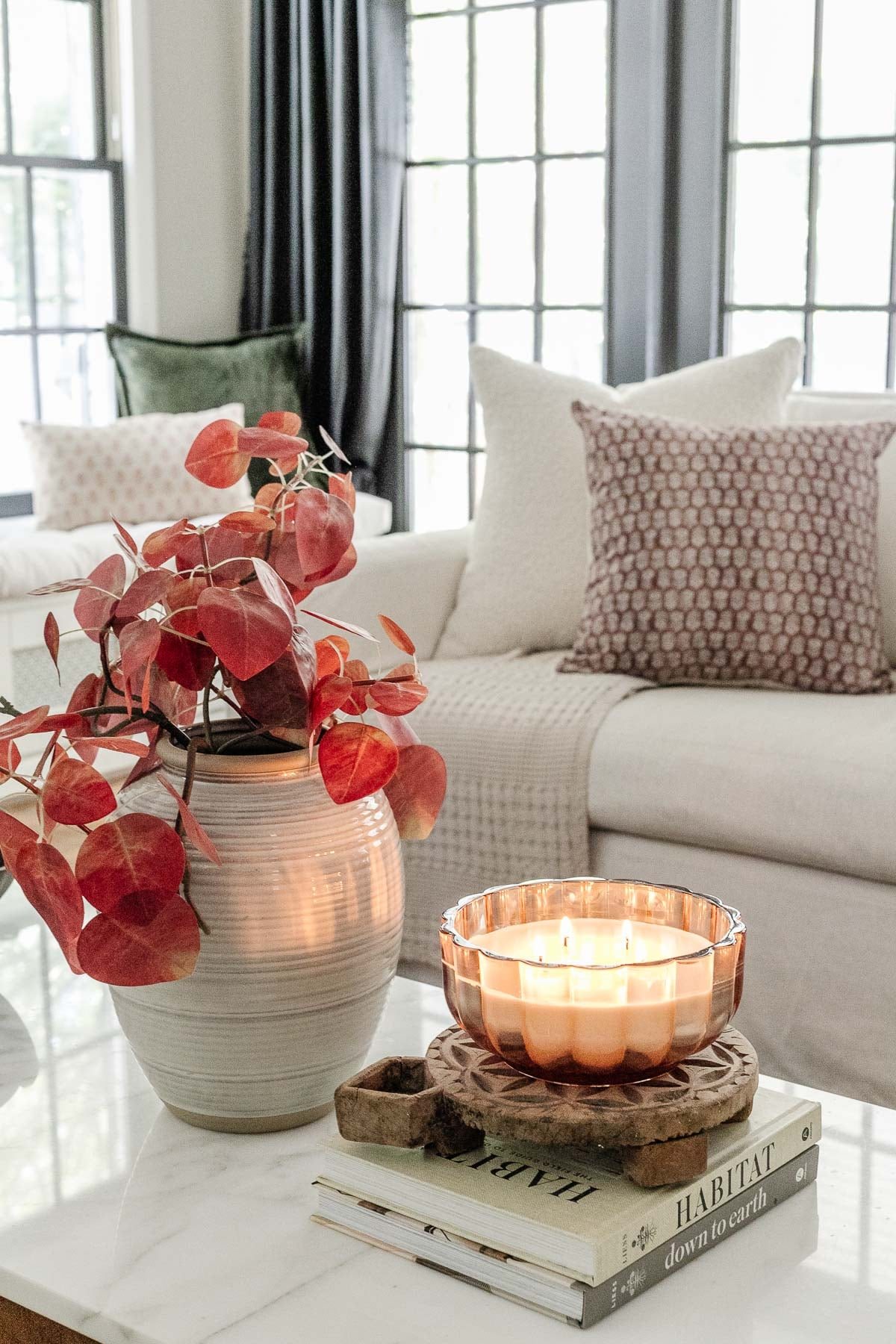 Fall Pillows That Can Transition to Other Seasons