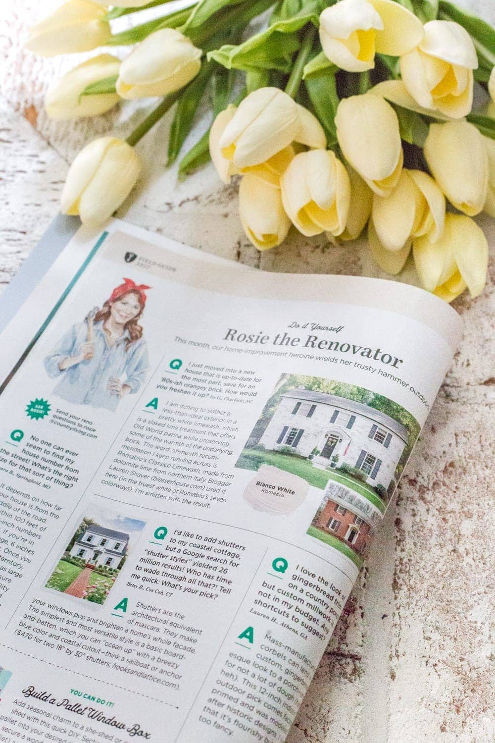 FAQs About Our Limewashed Brick | All of our frequently asked questions about our limewashed brick concerning neighbors' opinions, trends, DIY-ability, and why we chose it over paint. #limewash #brickexterior #limewashedbrick #brickpaint #paintedbrick #exteriormakeover #curbappeal #brickhouse
