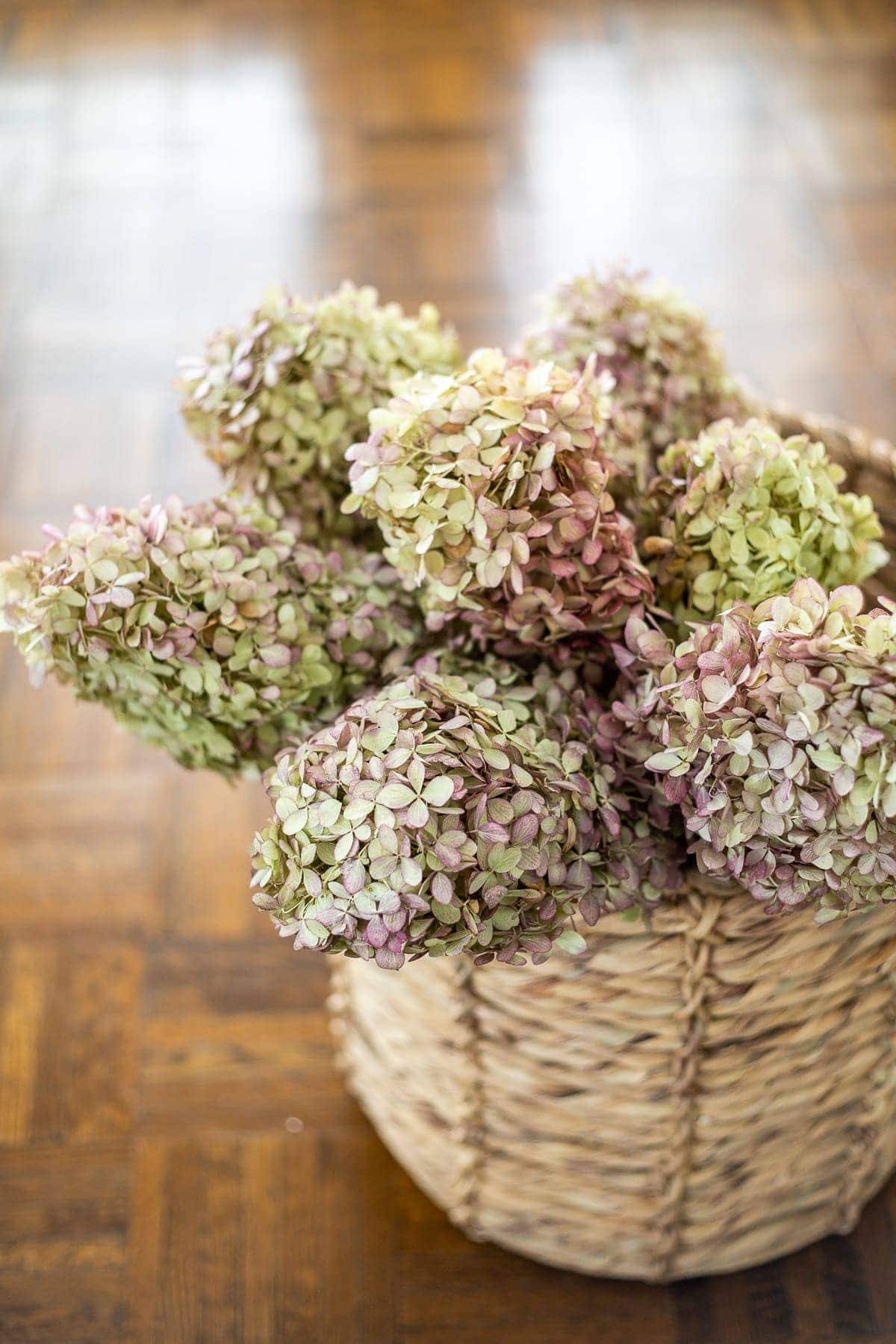 Preserved Flowers + How to Dry Leaves and Flowers for Decor