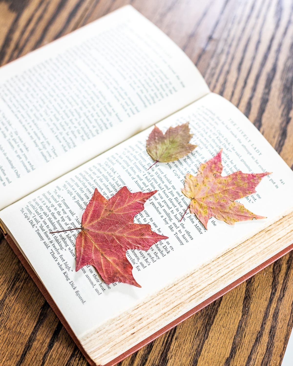 dried pressed fall leaves for fall decor