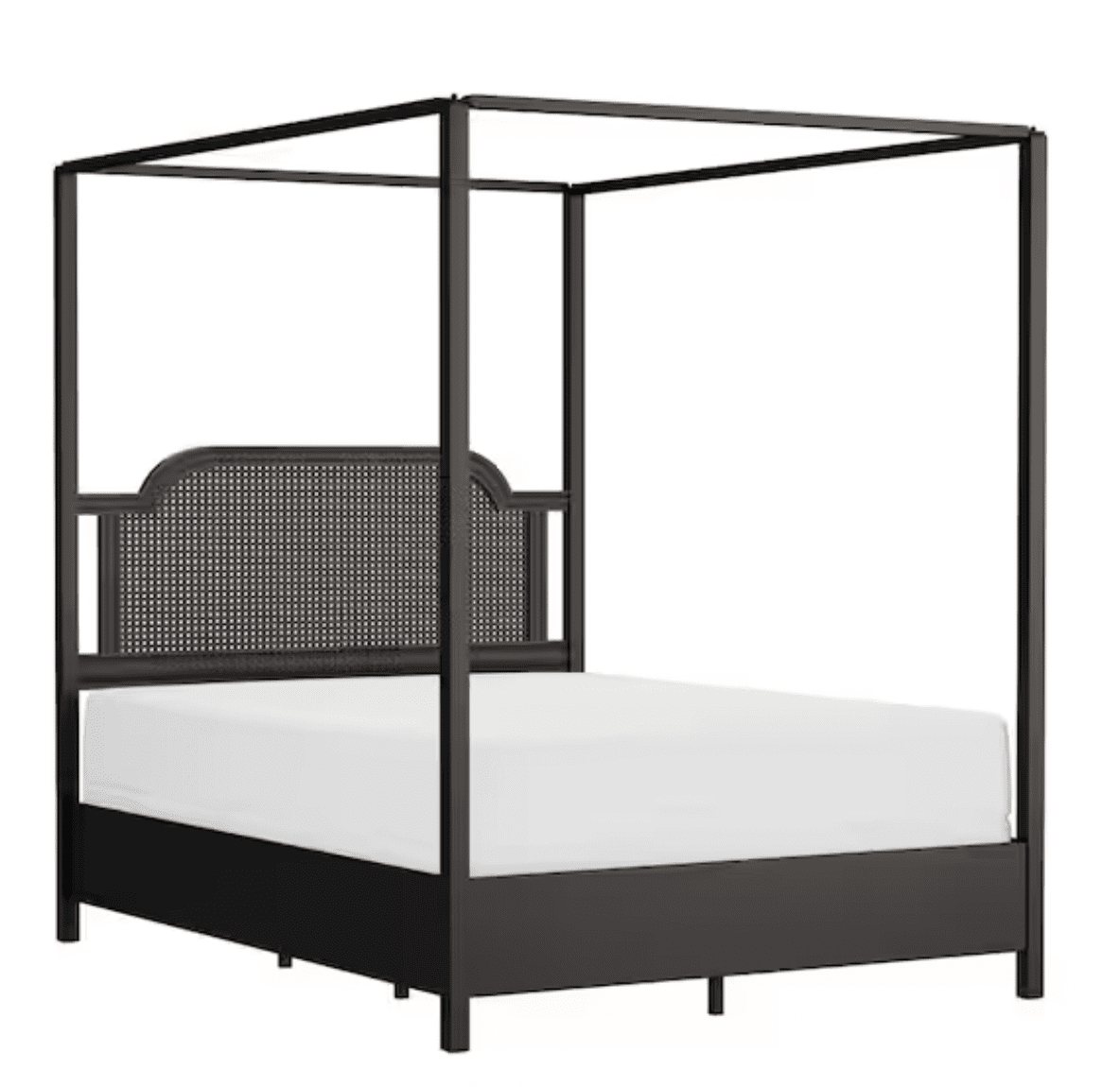 bronze cane canopy bed