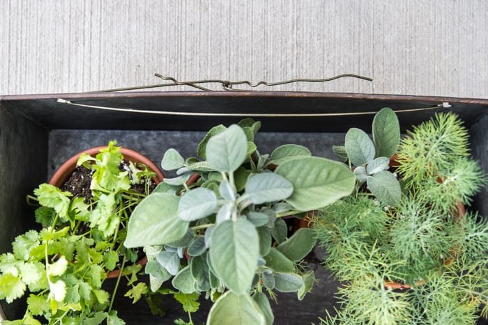 How to Hang Decor on Siding With No Damage | unigumushane.com - Good tip for making outdoor siding look not so naked!