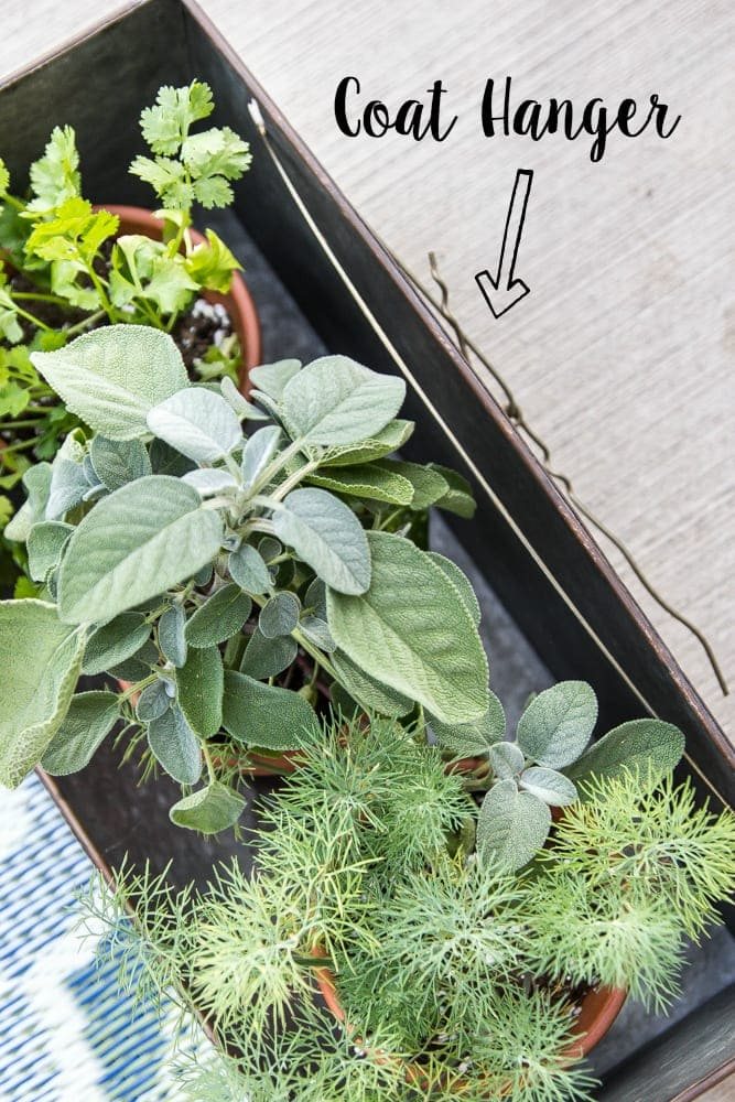 How to Hang Decor on Siding With No Damage | unigumushane.com - Good tip for making outdoor siding look not so naked!