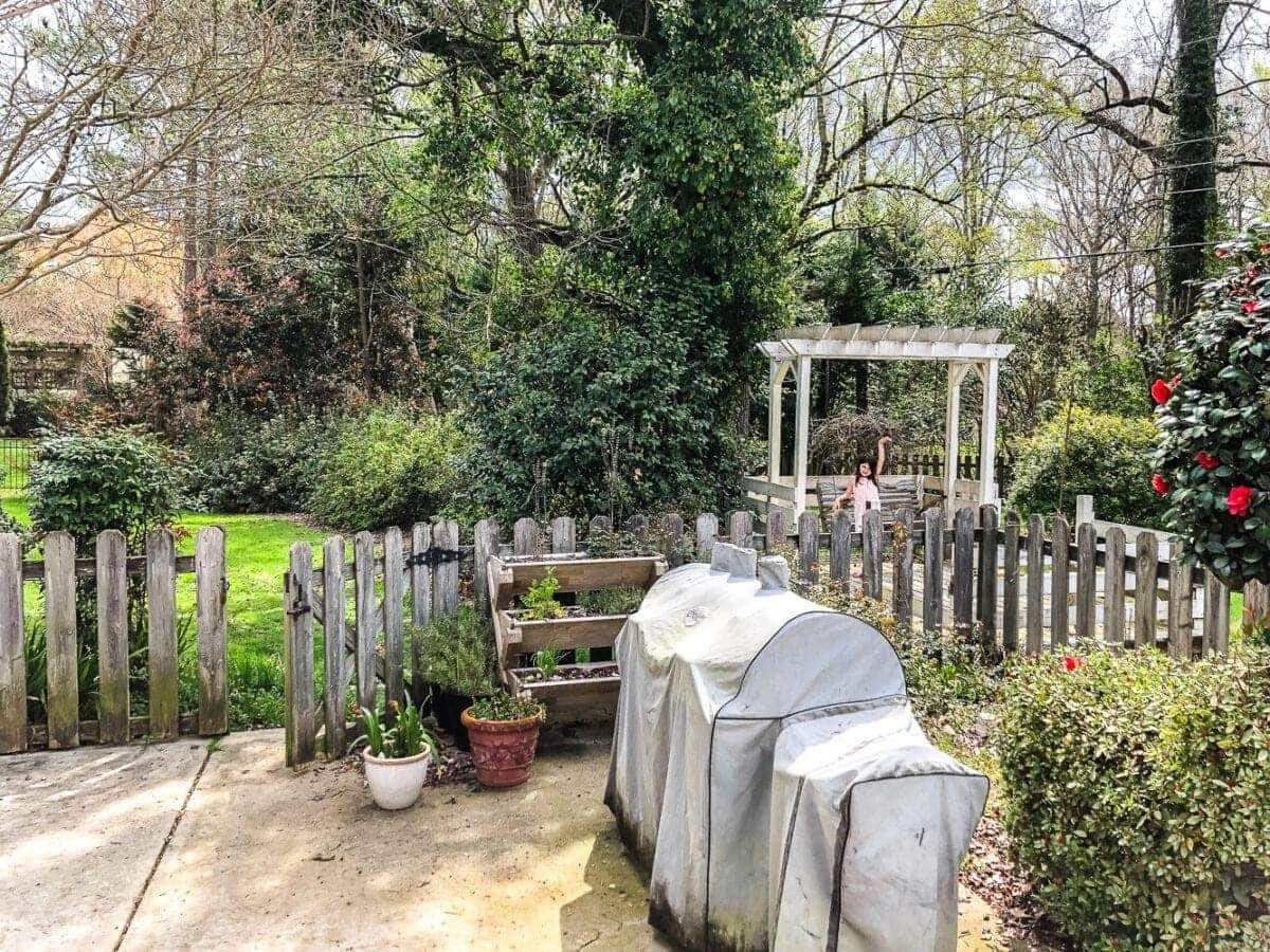 backyard renovation before