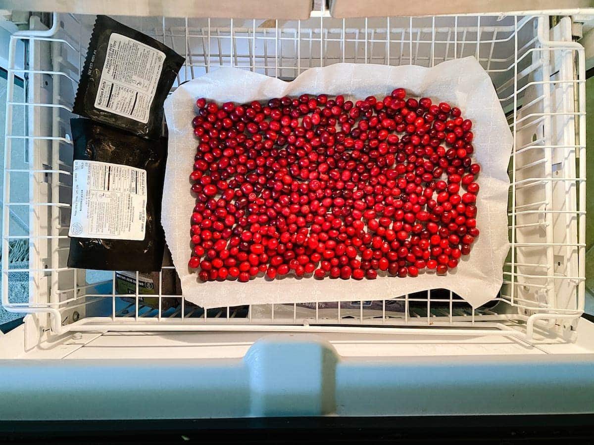 How to dry cranberries for Christmas decor
