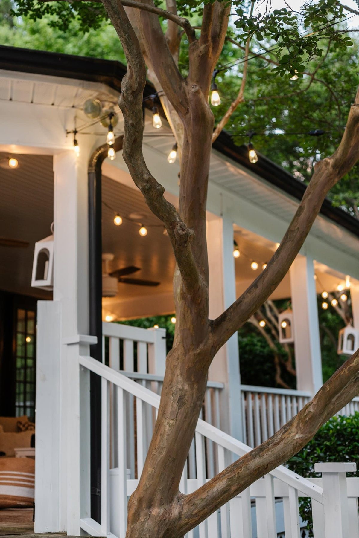 lights hanging from a house through trees