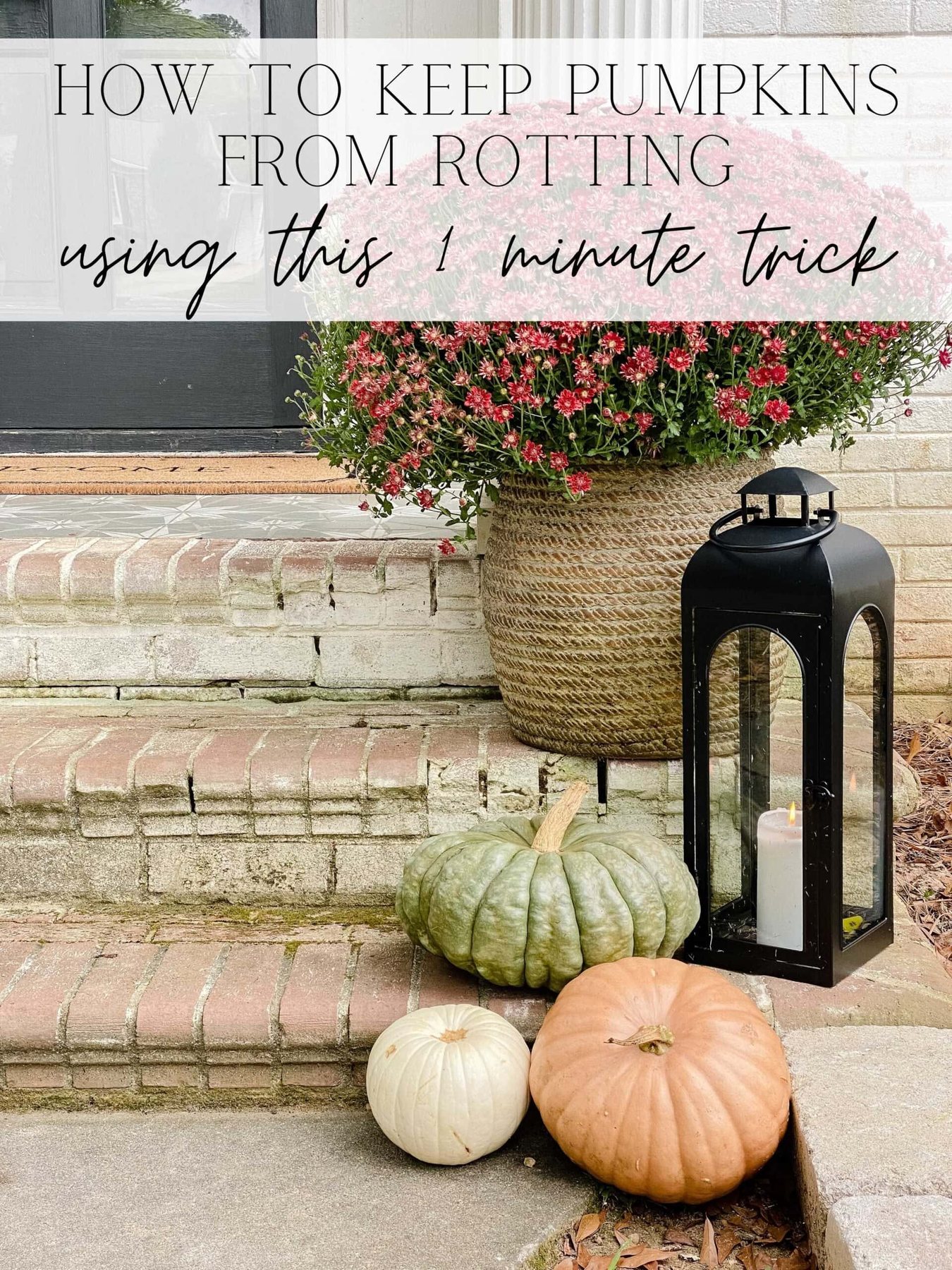how to keep pumpkins from rotting using this 1 minute trick