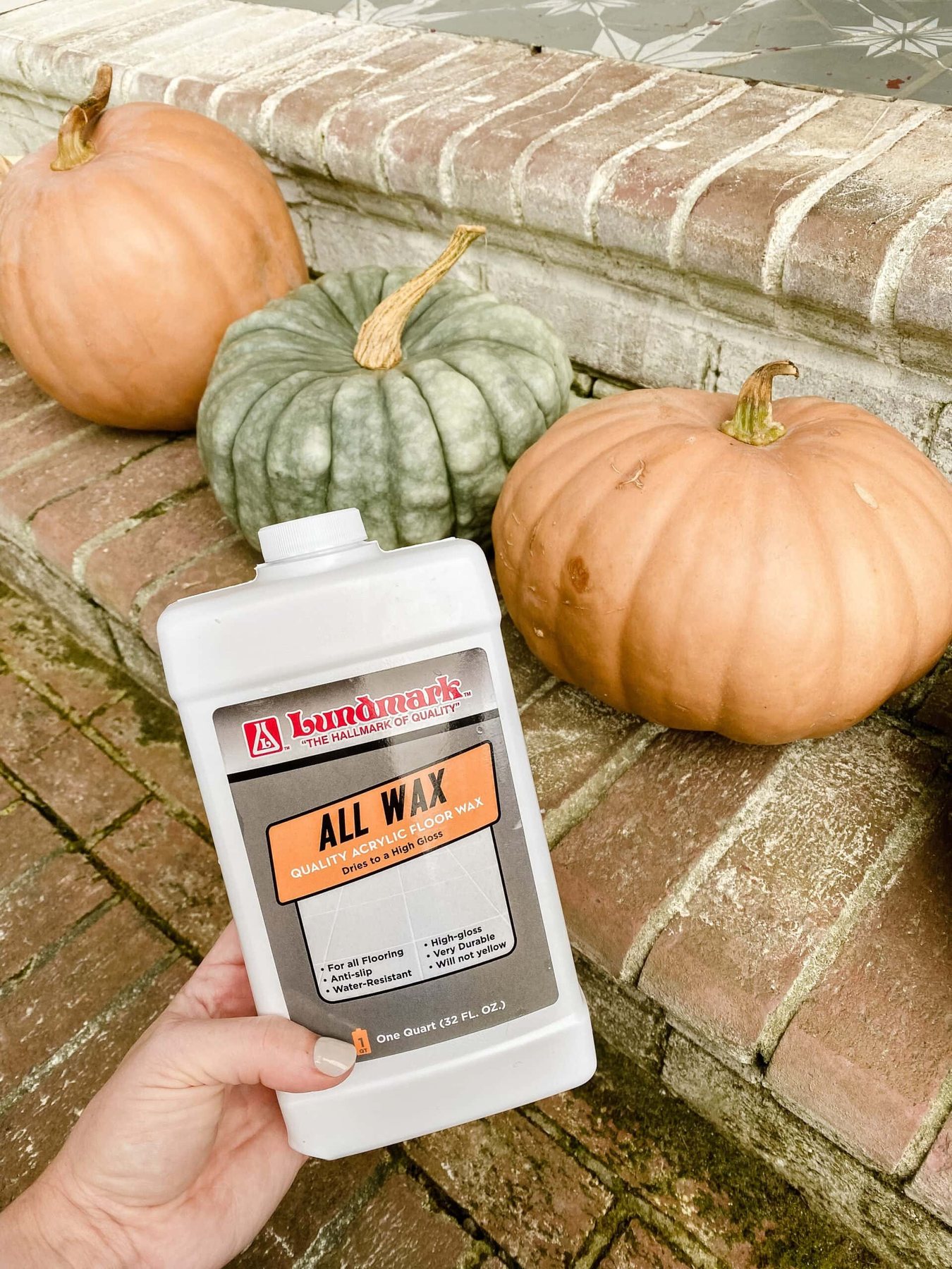 how to keep pumpkins from rotting using floor wax